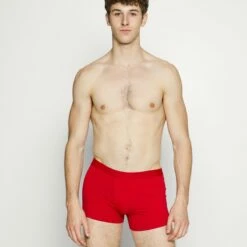 Pier One Hombre 5 PACK - Culotte - Dark Grey/teal/dark Blue