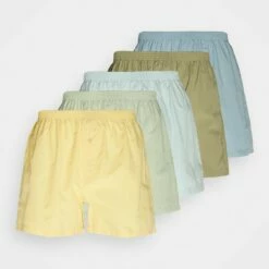Pier One Hombre 5 PACK - Boxer - Blue /light Blue/green